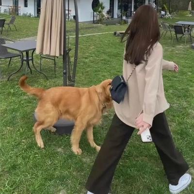 圣麒麟传说